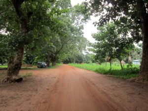 Scopri di più sull'articolo Viaggio a Moussodougou, il villaggio delle donne